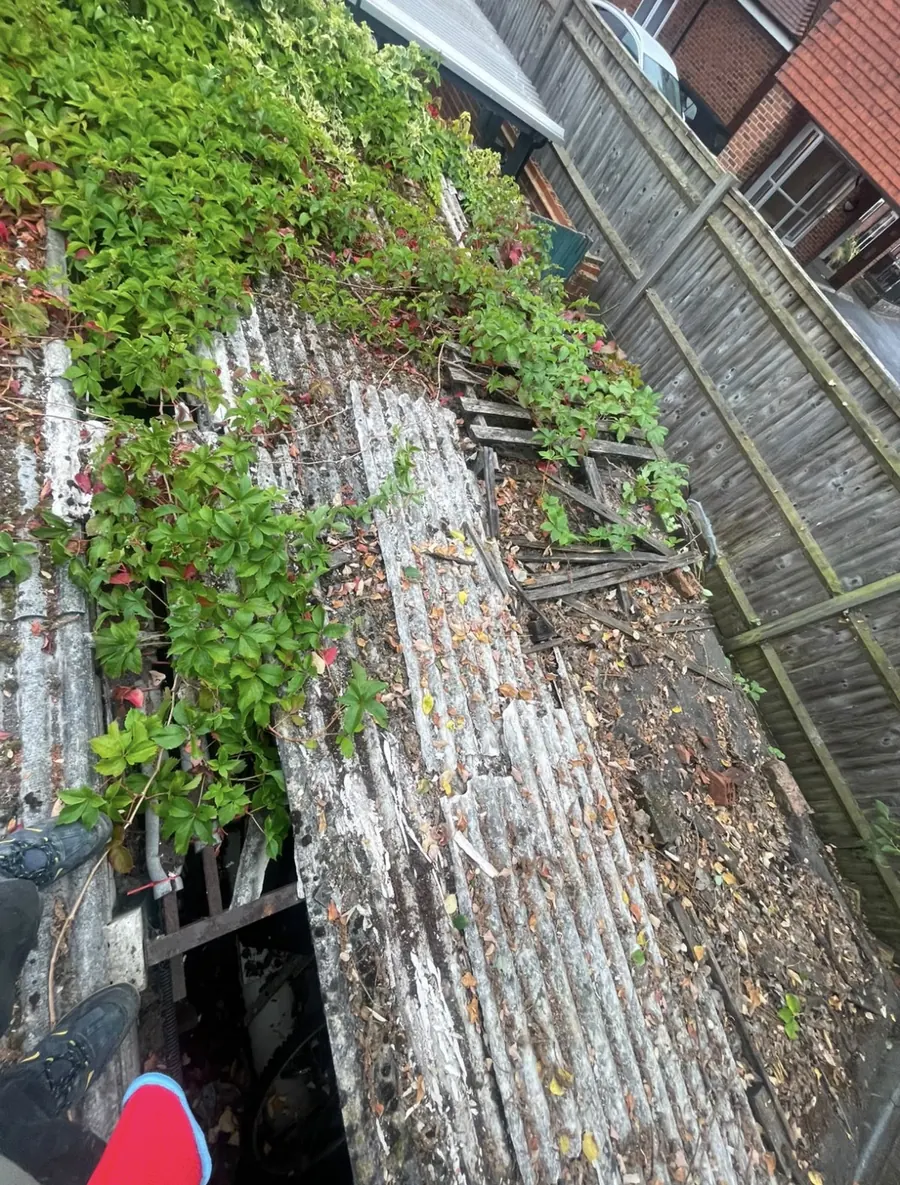 Overgrown roof covered in moss and plants, before work, Dawn Roofs Ltd